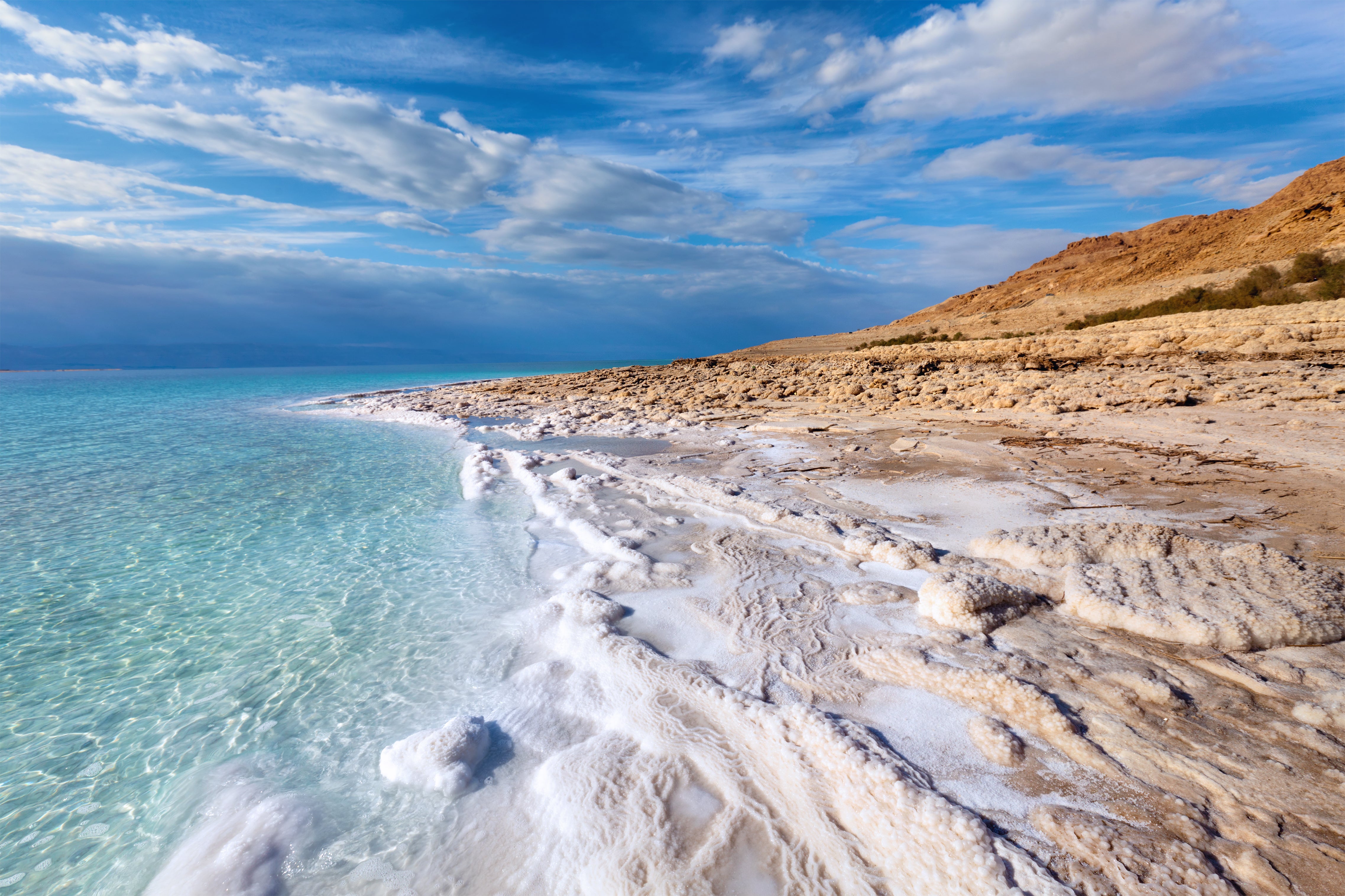 Reborn from the depths of the Dead Sea